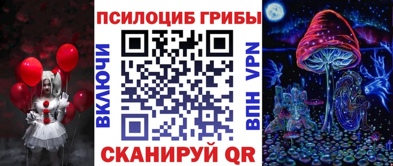 купить наркотики цена  Новоалександровск  Псилоцибиновые грибы Cubensis 
